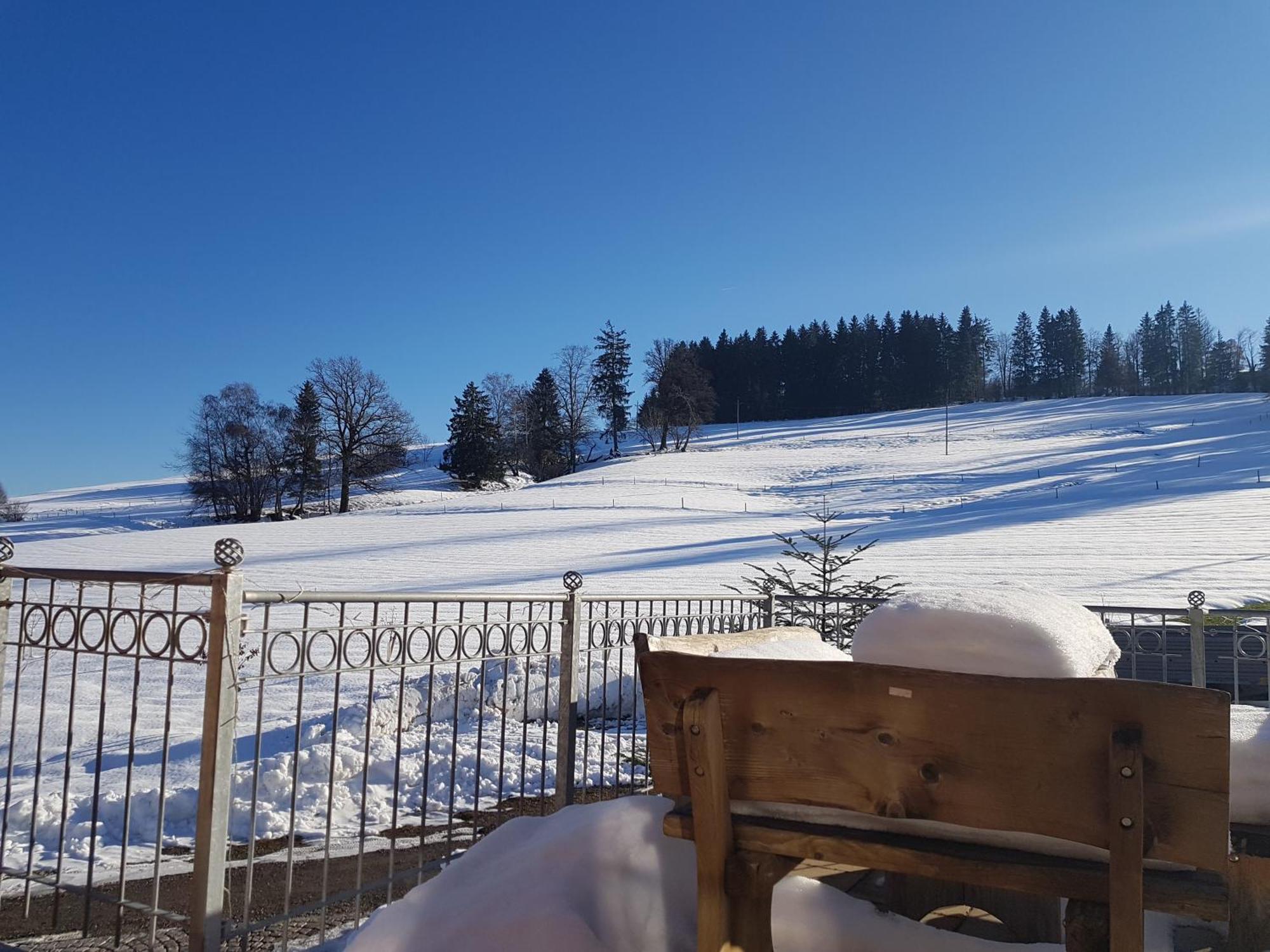Ferienwohnung Reisach リンデンベルク・イム・アルゴイ エクステリア 写真